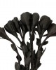 BDSM Leather Flogger 9 Braided Falls & Black Rose, Heavy Duty Cat-o-nine Tails Flogger, Thuddy Flogger